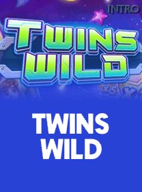 Twins Wild game thumbnail